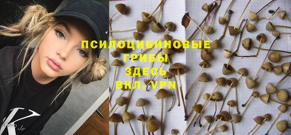 ECSTASY Бронницы