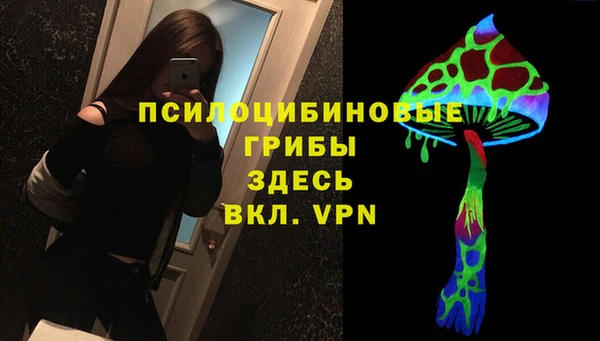 2c-b Верхнеуральск